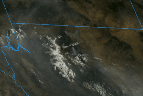 baroowoofr giphyupload GIF