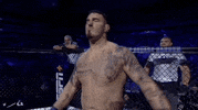 Mixed Martial Arts Sport GIF by UFC