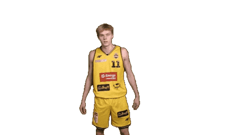Basketball Koszykowka Sticker by Trefl Sopot