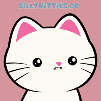 What The Hell Wtf GIF by Silly Kitties