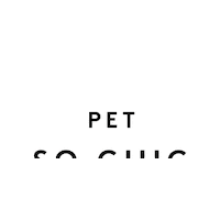 Dogs And Cats Fashion Sticker by Petsochic
