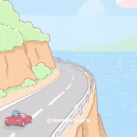 Mochinyaru cat car mochi car crash GIF