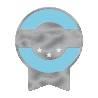 Piloto Aire Sticker by VirtualFly