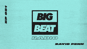 big beat summerheat GIF by Big Beat Records