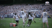 GIF by AFL