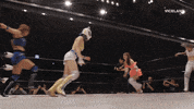 Jump Win GIF by THE WRESTLERS