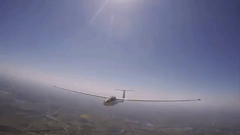 glider GIF