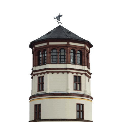 Party Weiss Sticker by Prinzengarde Düsseldorf