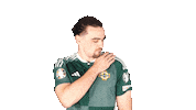Soccer Celebration Sticker by Northern Ireland