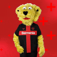 Bayer 04 Love GIF by Bayer 04 Leverkusen