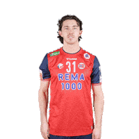 Ice Cold Handball Sticker by Norges Håndballforbund