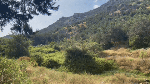 gregoryaskew giphyupload GIF