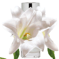 Lip Balm Beauty Sticker by Apivita