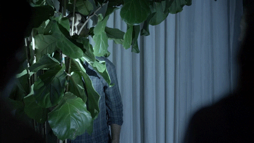 fox broadcasting hiding GIF by The Last Man On Earth