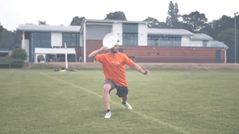 flikulti ultimate frisbee flik GIF