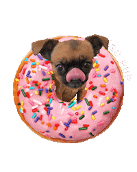 Brussels Griffon Dog Sticker by MISO PUP