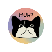 Confused Tuxedo Cat Sticker