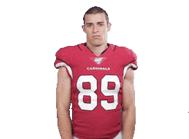 Arizona Cardinals Football Sticker by NFL