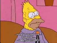 Season 1 Grandpa Simpson GIF by The Simpsons