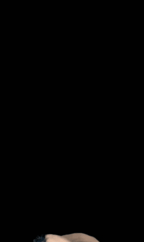 Popo Yes GIF by ponycorn