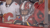 Ice Hockey GIF by NHL