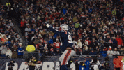 Football Nfl GIF by New England Patriots