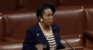 Voting Rights GIF by GIPHY News