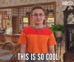 awesome the goldbergs GIF by TV Land