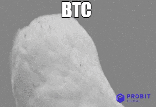 Crypto Bitcoin GIF by ProBit Global