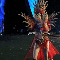 Peru Vietnam GIF