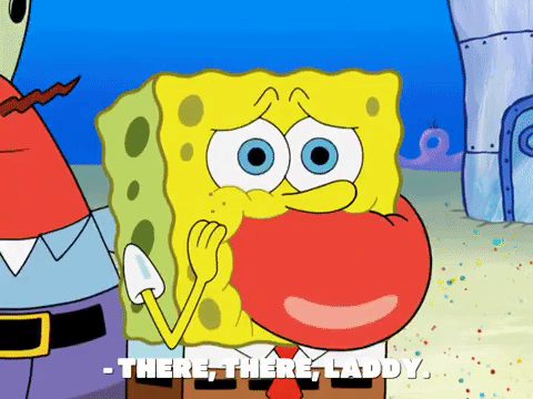 season 8 episode 6 GIF by SpongeBob SquarePants