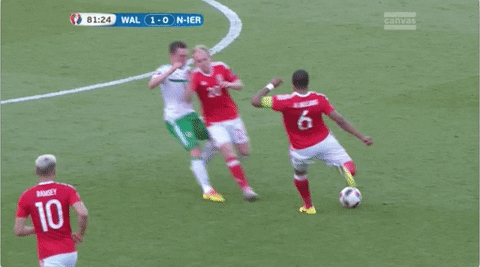 Euro 2016 GIF by Sporza