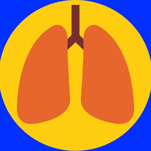 lungs GIF