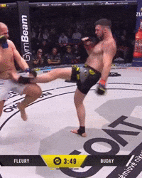 Knockout Mma GIF