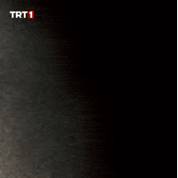 Appear Ottoman Empire GIF by TRT