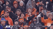 Nfl Playoffs Football GIF by NFL