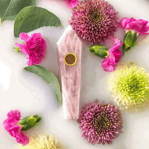 Verdeux giphyupload verdeux GIF