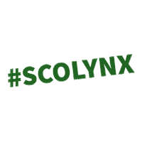3D Lynx Sticker by Lesley University