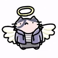 Angel Cat GIF