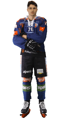 Ice Hockey Sport Sticker by Rittner Buam