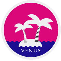 palm tree summer Sticker by VENUS