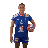 Ffhandball Sticker by Fédération Française de Handball