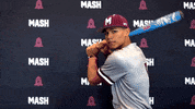Baseball Win GIF by MASH Athletics