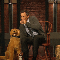 Seth Meyers Lol GIF by Late Night with Seth Meyers