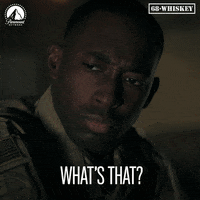 Davis What GIF by Paramount Network