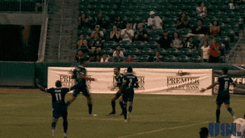 happy fresno fc GIF by USL