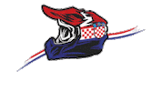 Team Silber Sticker by HMKO