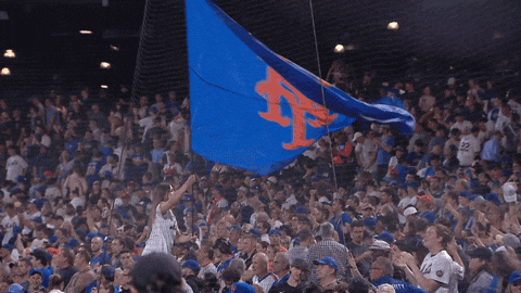 Citi Field Baseball GIF by New York Mets