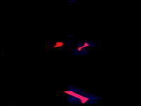 Video Art GIF by cskonopka