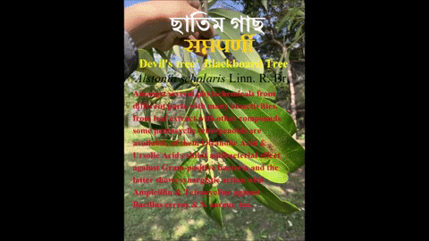 scgarai giphyupload GIF